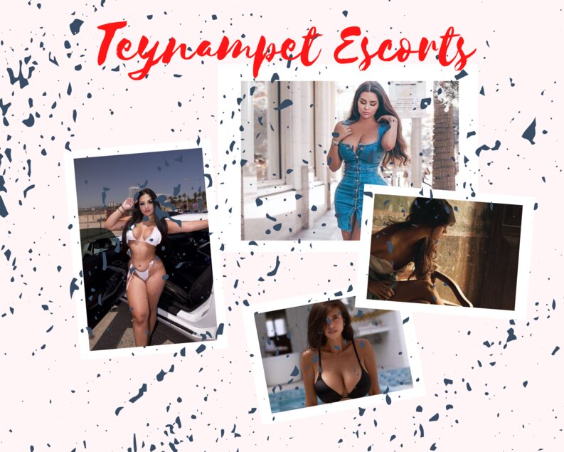 High Profile Companions Name are Teynampet Escorts